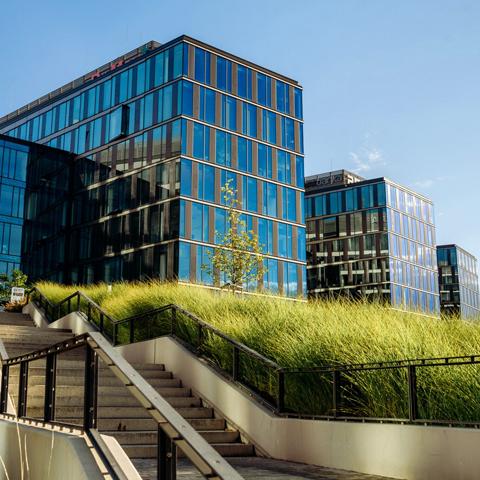 Digital Park